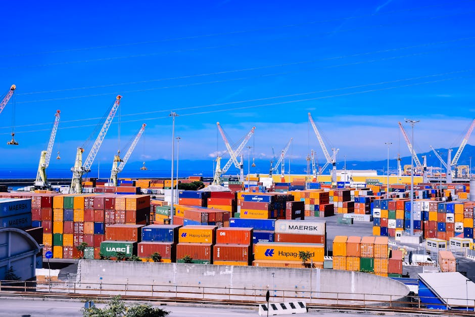 Kto płaci za cło i ryzykuje stratę towaru według zasad Incoterms 2020?