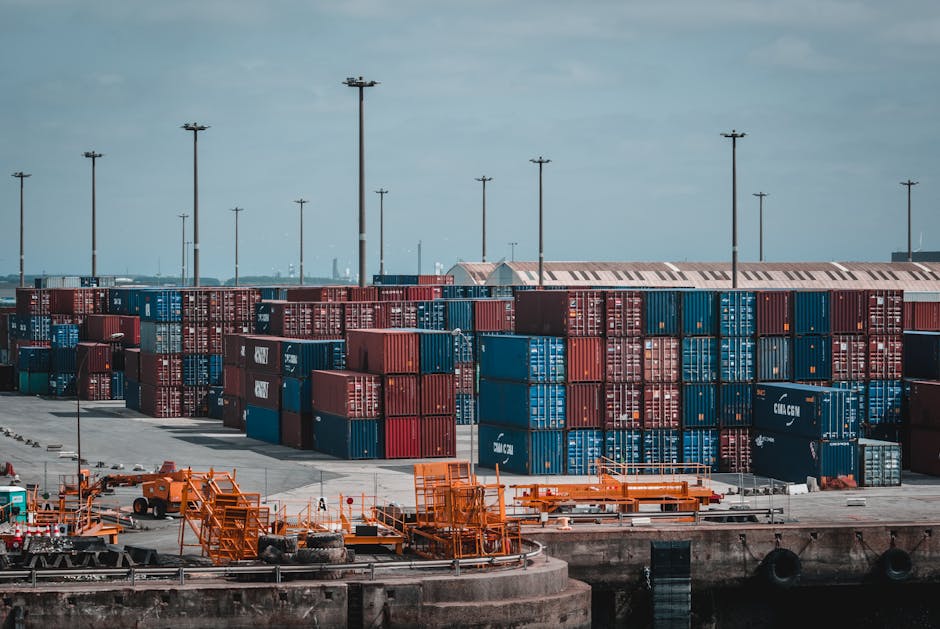 Pracownik obsługujący dokumenty celne w nowoczesnym centrum logistycznym